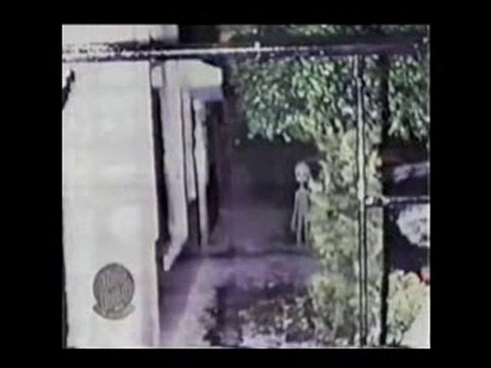 Aliens filmé dans une remise et dans les bois