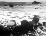 The Monster of Piedras Blancas trailer