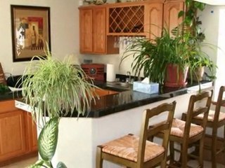 11817 Cloudy Creek Ct Colorado Springs Property Search ...