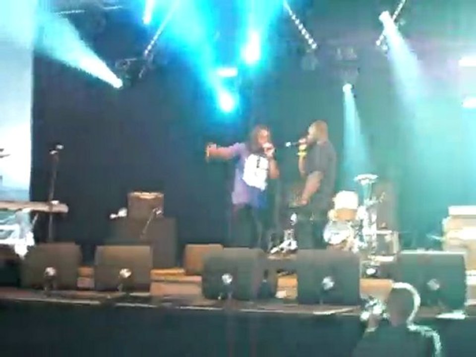 Gandhi Dour Festival 2010 part 05