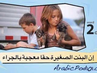 Learn Arabic with Video - Positive Emotions