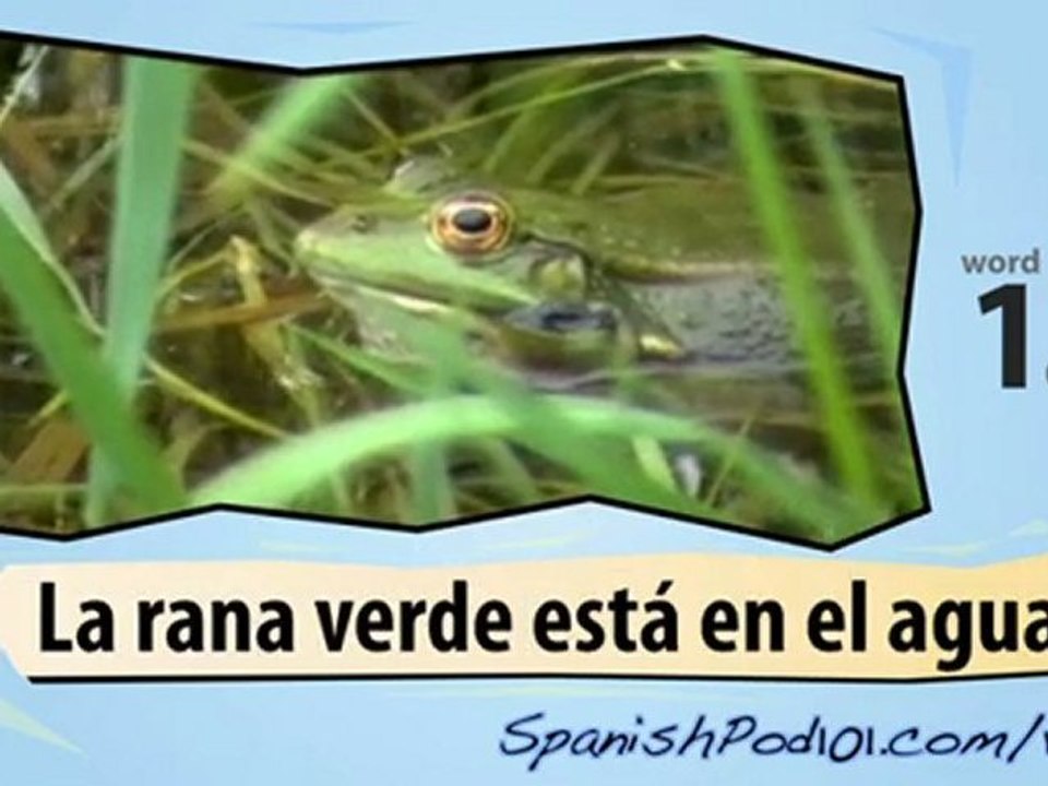 Learn Spanish with Video - Amphibians & Reptiles