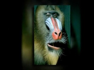 Leverage your time by Outsourcing your List Building