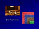 Can carpet cleaning remove heavy stains