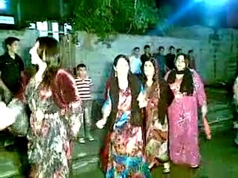 haşim şevket nizam