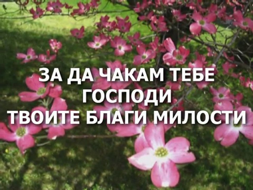 Chipilski - Edno Neshto sum Poiskal ot Bog