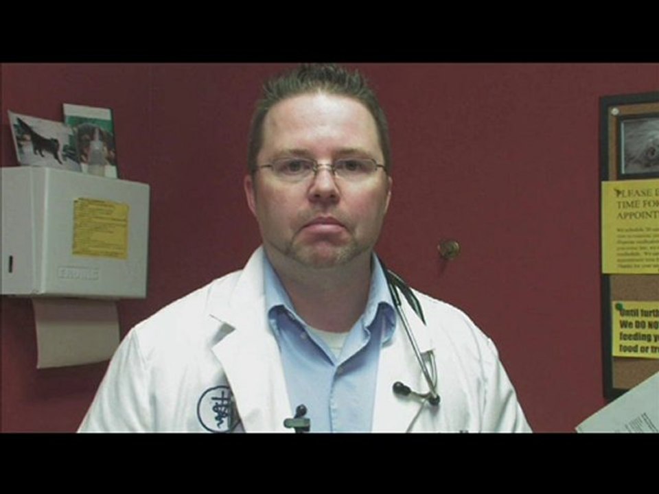 Frontline Breaking the Bank (2009) Part 1 of 18