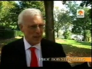 Caleidoscopio: Prueba de inteligencia práctica de John Sternberg