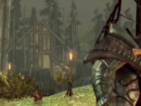 Dragon Age Origins : Witch Hunt DLC Trailer