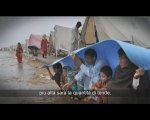 Angelina Jolie Appello Emergenza Pakistan per l'UNHCR