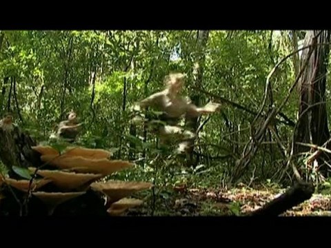 Unbreakables (W9) présenté par Taïg Khris