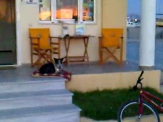 ARGOLIS Yacht / Aktio / PVK / Cleopatra Marina