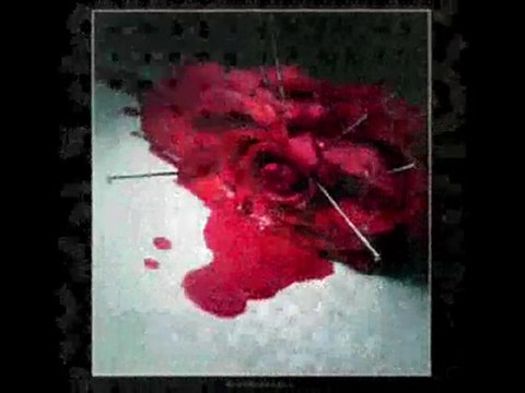 Ferdi Tayfur Acılar (şiirli) Yaralı60......