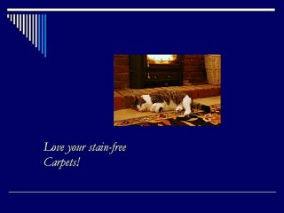 Heavy-stained Carpet Cleaning