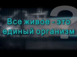 Все живое - это единый огранизм