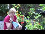 Sept. 3/10 Senga's Vlog - How to Control Powdery Mildew