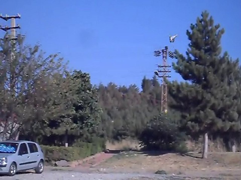 PAŞA KAYA-  Eke kuş ,dişi aynalı gök-4