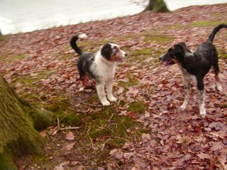 Chogan, Déjà 1 an !!