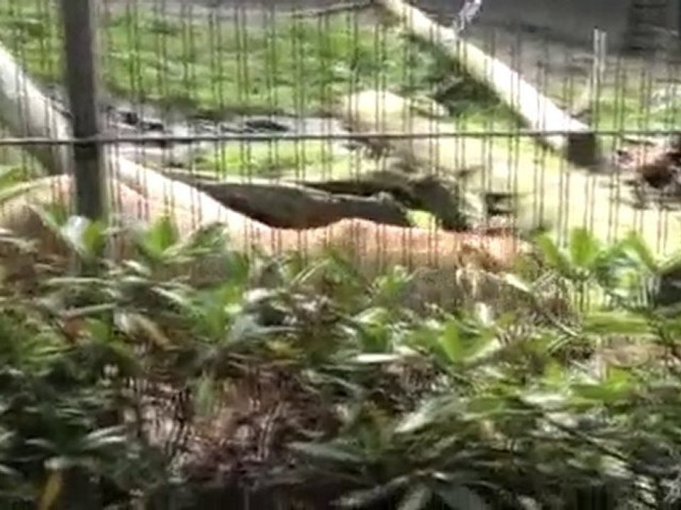 89.takaとkayoの世界旅行★ヘルシンキinフィンランド(5日目)世界遺産 動画