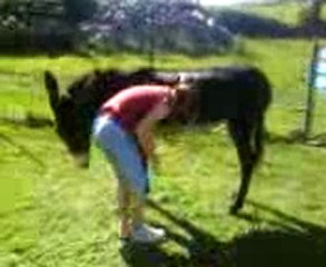 nigette la dangeureuse!!!