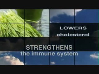 What is Shakeology? Is it a Shake?