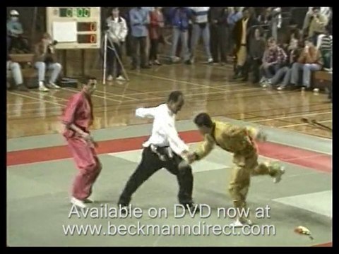 Martial arts kung fu; demonstrations of kung fu by experts