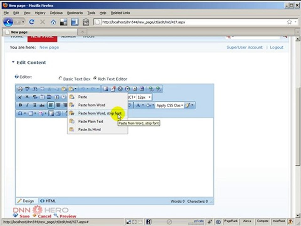 DotNetNuke Tutorial, Copying content from Word to RAD Editor