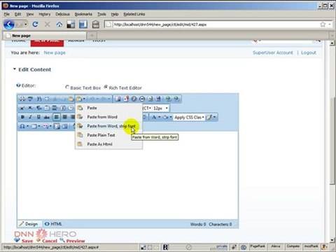 DotNetNuke Tutorial, Copying content from Word to RAD Editor