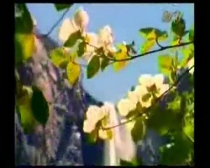 MEMLEKET TÜRKÜLERİ