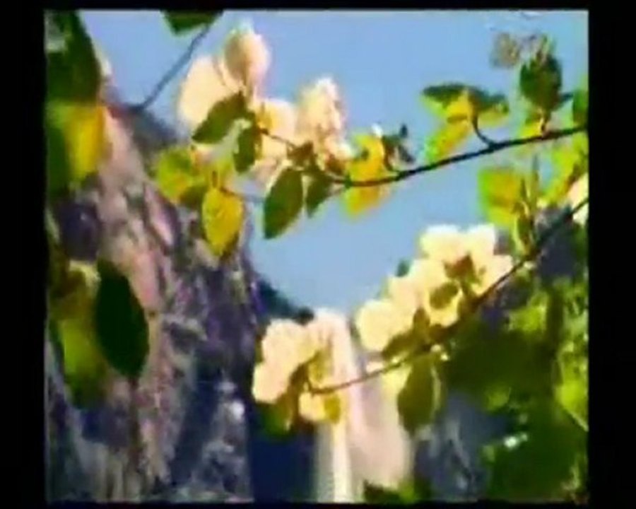 MEMLEKET TÜRKÜLERİ