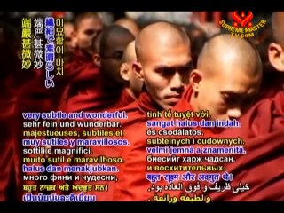 The Lotus Sutra of the Wonderful Dharma, Chapter 1 - P3/3