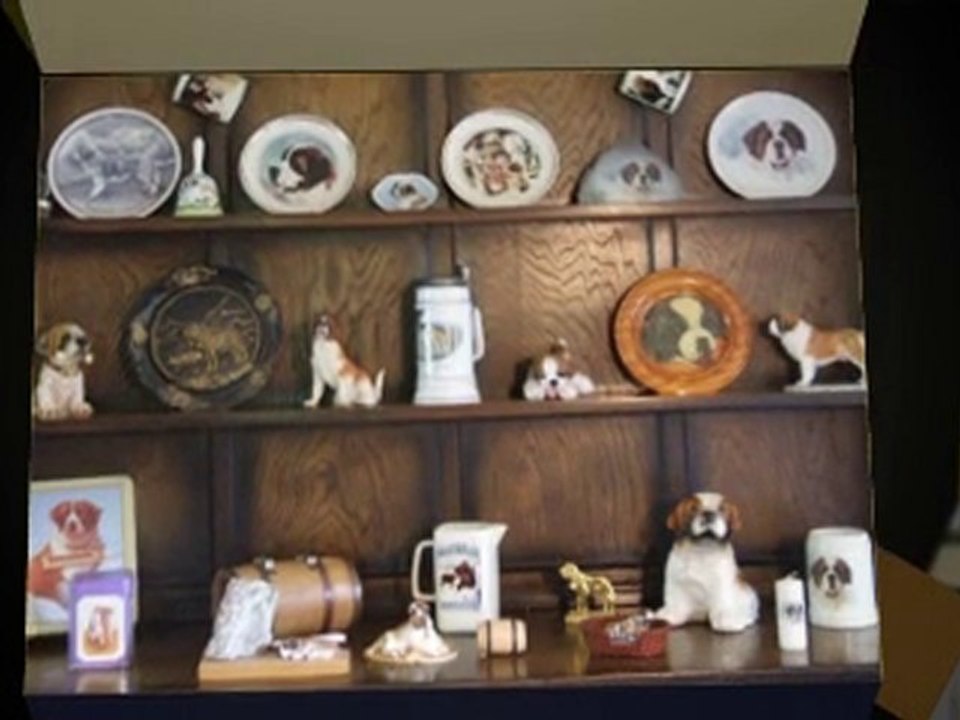 Vacuum Seal Collectibles for Safe Keeping