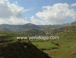 Mustafa Cihat Söyle Ferhat