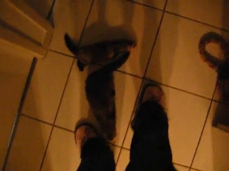 Un gateau pour tous, à chacun son gateau.