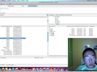 Comment upgrader WP et le thème Mystique manuellement