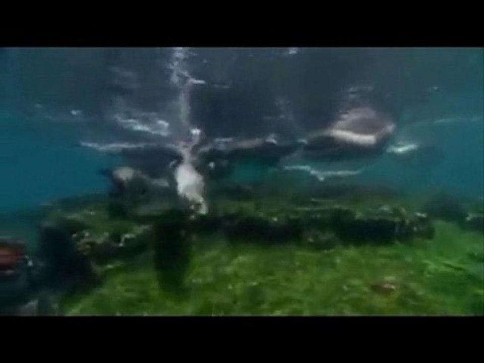 04-Vesile Ve Tevessul