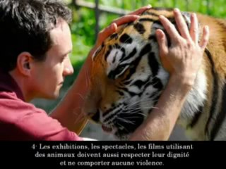 Déclaration Universelle des Droits de l'Animal