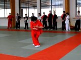 Cours de kung fu wushu à Angers