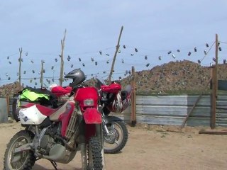 Baja: Tropic of Cancer - Coco's