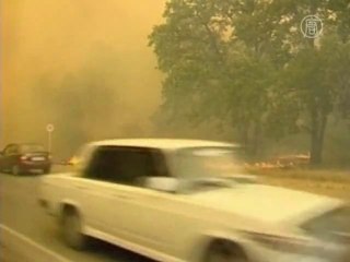 БК: в лесном пожаре под Волгоградом погиб человек