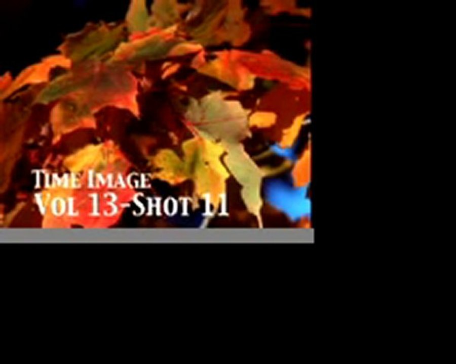 Autumn Stock Footage Vol 13 PublicDomainFootage.com