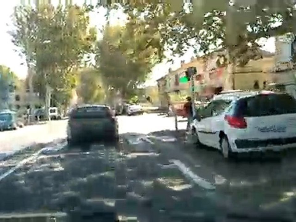 ARLES ( Pt de Crau ) - RAPHELE - MOULES - St MARTIN de CRAU