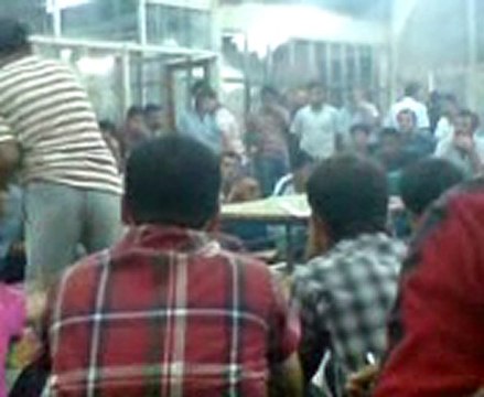 şanlıurfa filo güvercin ihalesi 27/08/2010 guvercinurfa.com