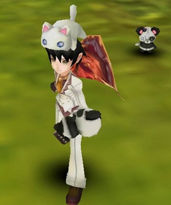 Teddy bear pet