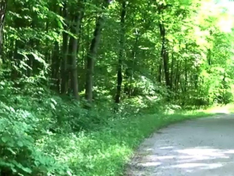 Terrafinanz Kapitalanlage Schmaedelstrasse