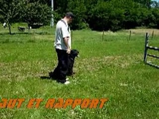 Rottweiler - Balzac demo fun