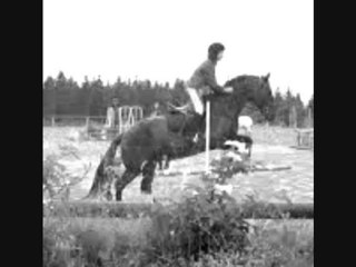 Guiness- Tu me manques