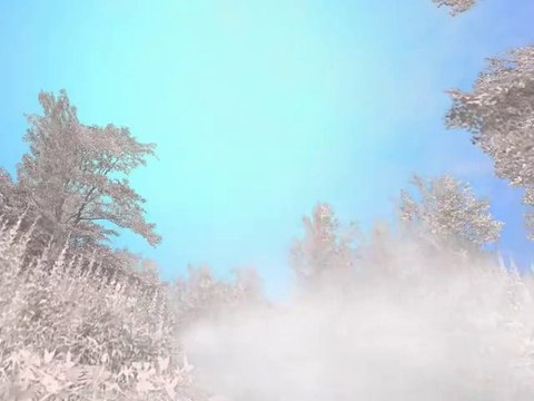 Richard Burns Rally - VW Polo on Snow