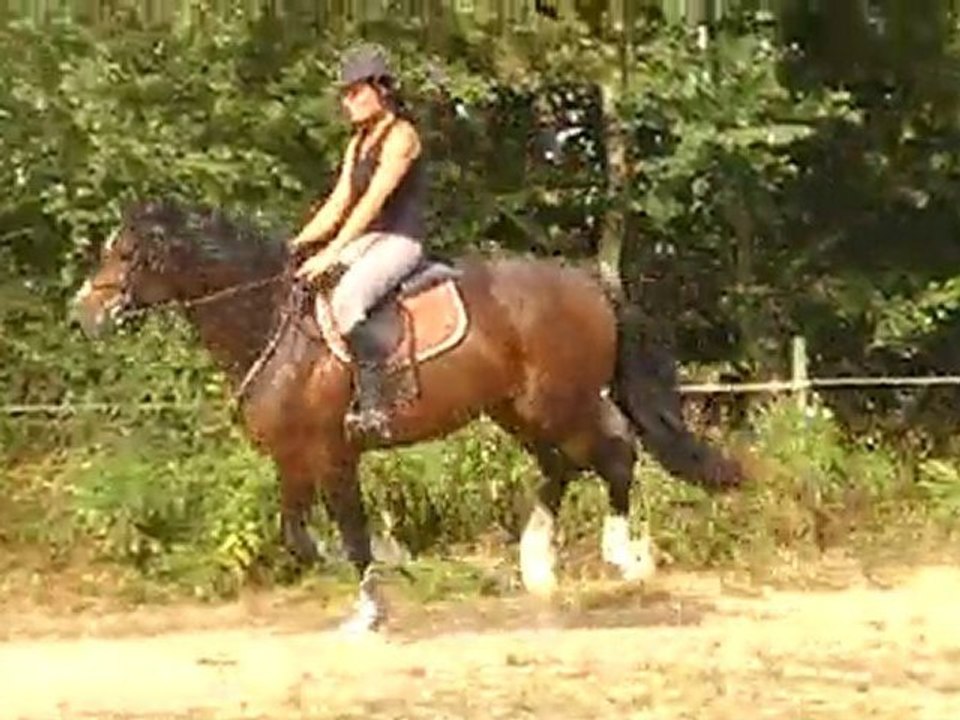 anne sophie etTrenke's Cardi 4septembre 2010