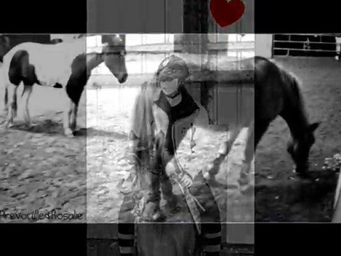 Ethologie avec Imprévue